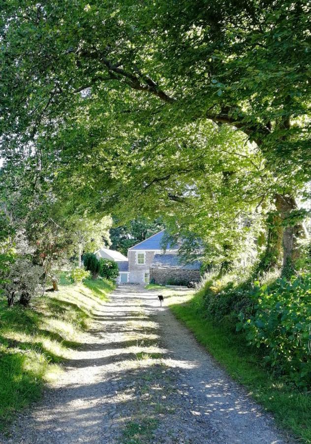 Cornwall, Looe - Magical Pendriffey Pelynt Buitenkant foto