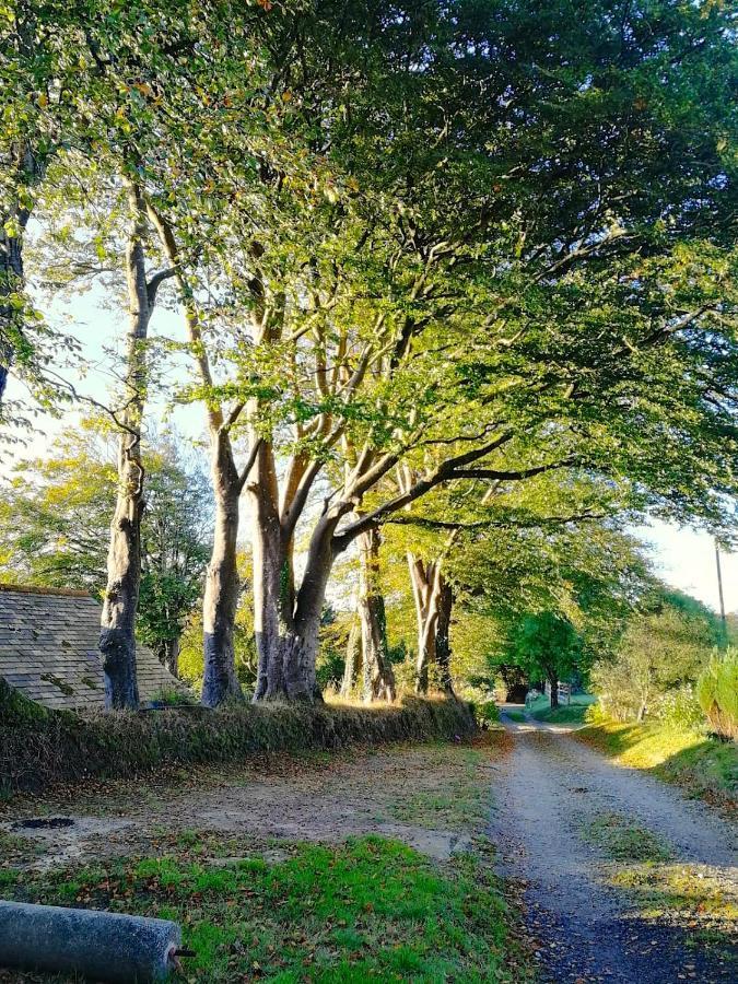 Cornwall, Looe - Magical Pendriffey Pelynt Buitenkant foto